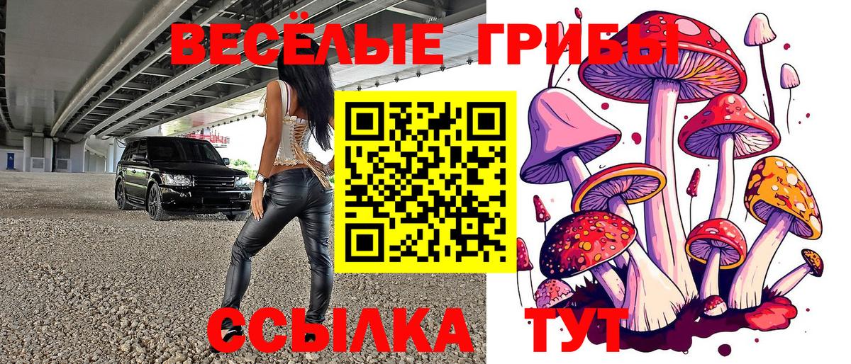 Галлюциногенные грибы Psilocybine cubensis Михайловка