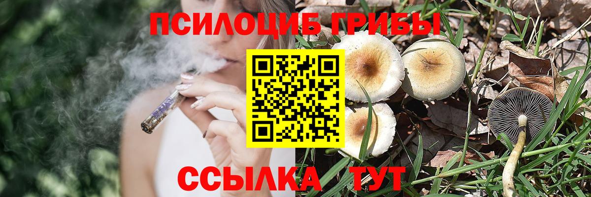 Галлюциногенные грибы Psilocybine cubensis  Псилоцибиновые грибы мицелий  Вход с VPN  Михайловка 