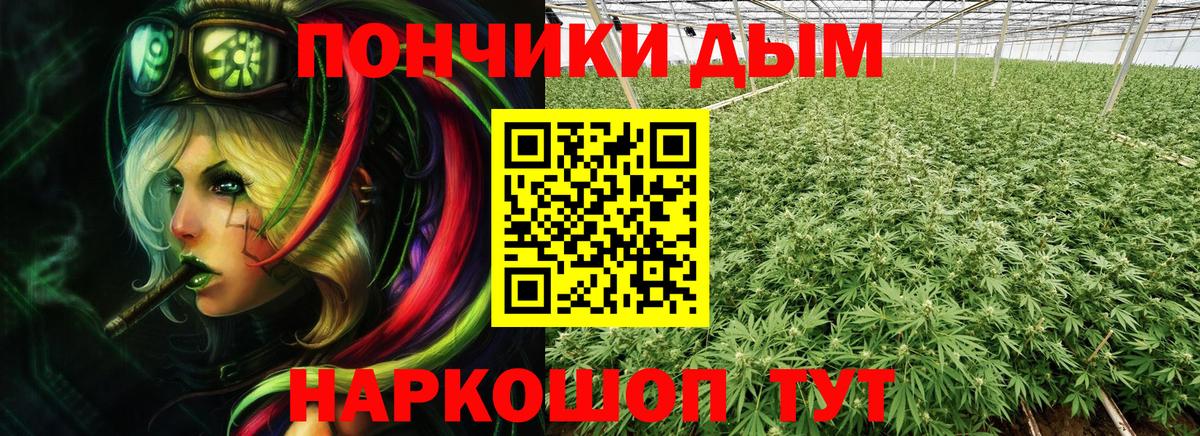 Михайловка  Бошки марихуана Bruce Banner  Конопля индика  Вход с VPN 